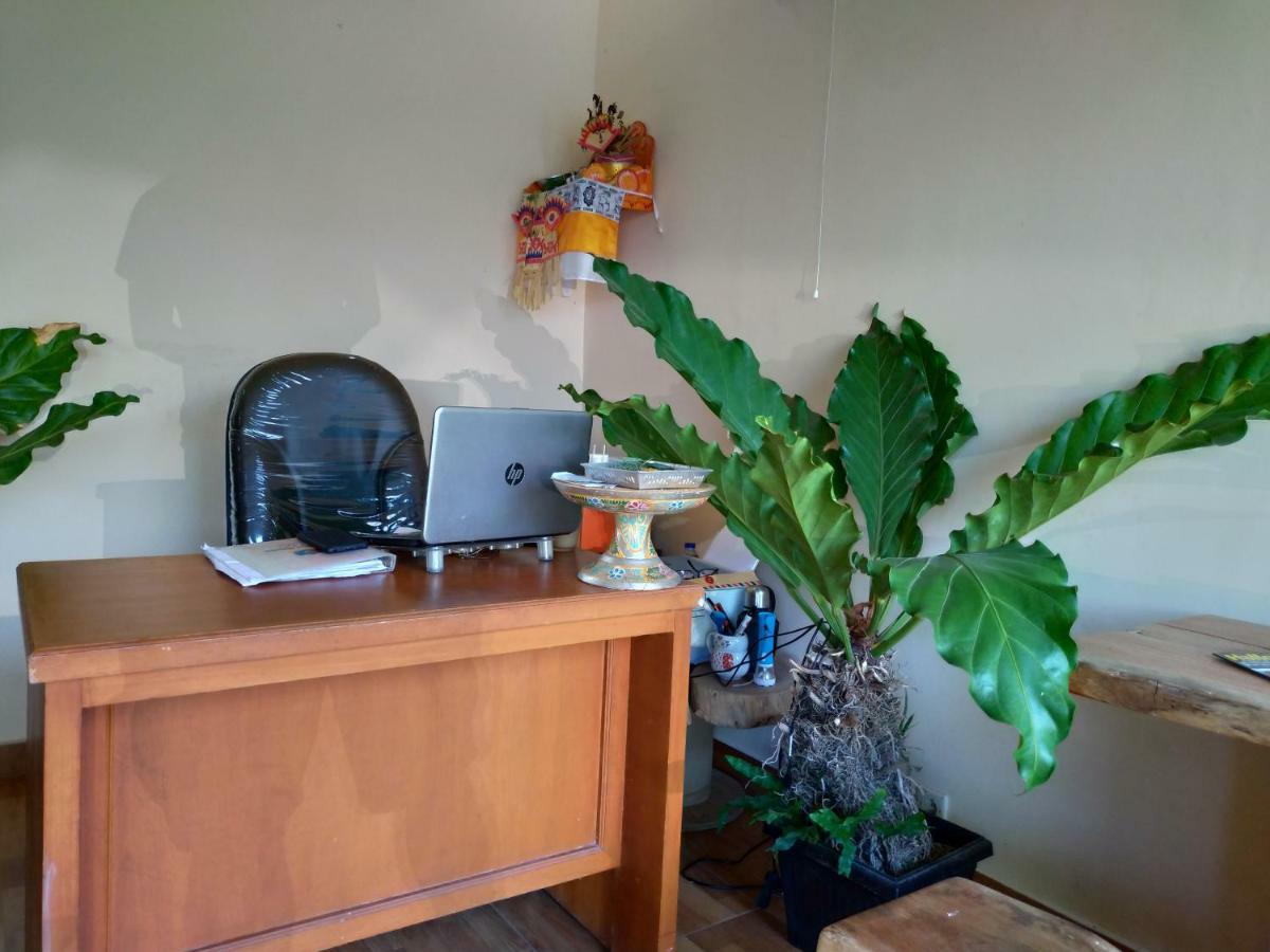 Beji Ayu Homestay Seminyak  Luaran gambar
